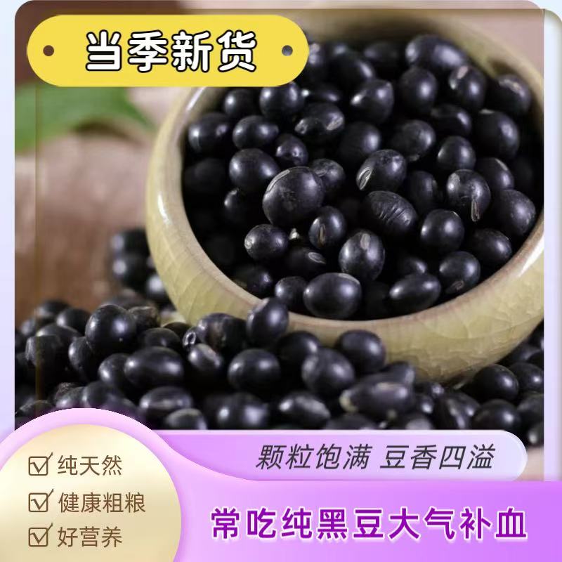 贵州黄豆类新黑豆农家黑豆颗粒饱满早餐代餐饱腹非转基因健康粗粮