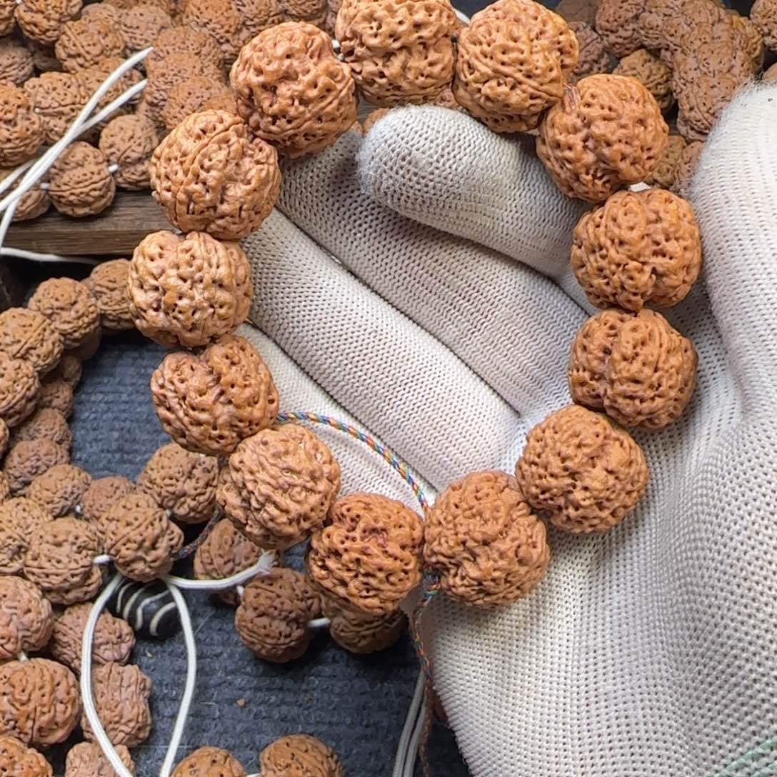 菩提金刚菩提4瓣22+蜂王