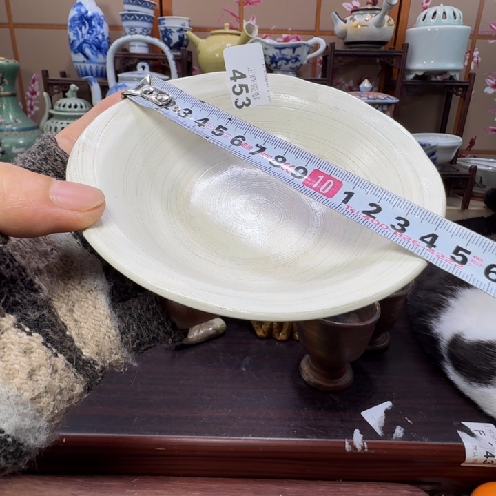 碟453啊啊啊啊啊啊啊啊啊啊啊啊