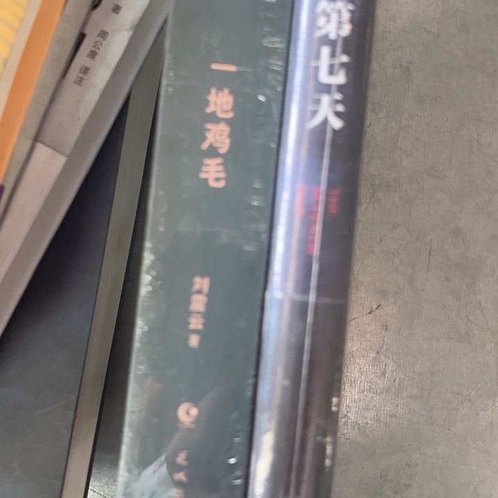 一地鸡毛，第七天全新精装