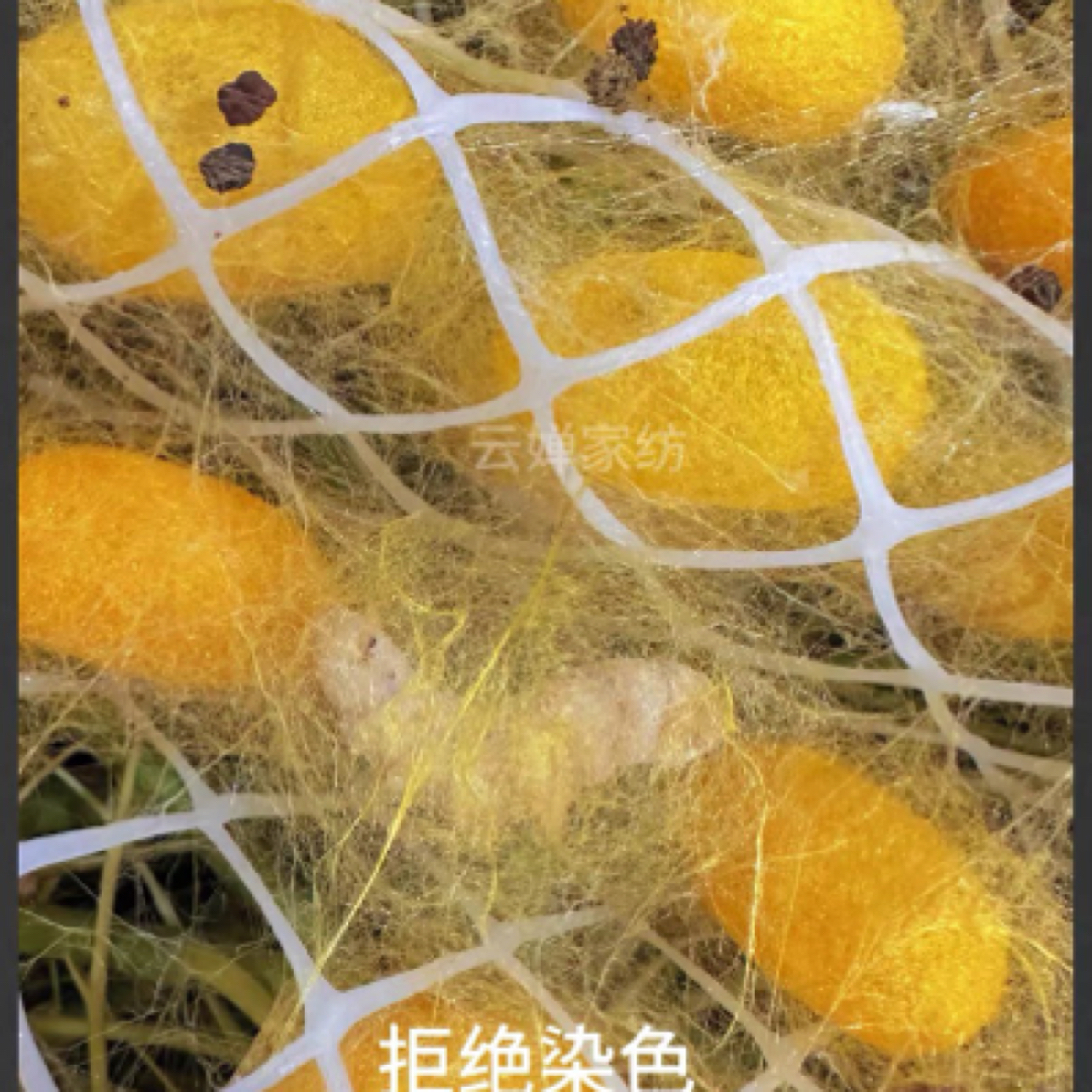 1 夏被蚕丝被被芯