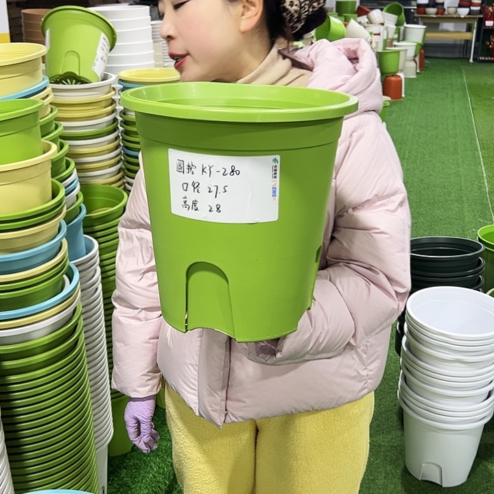 正品圆控口27.5高28果绿5只无托