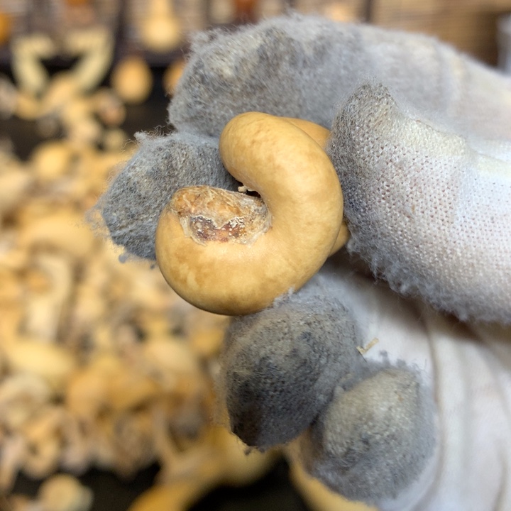 金蟾是在哪点啊你们现在去了