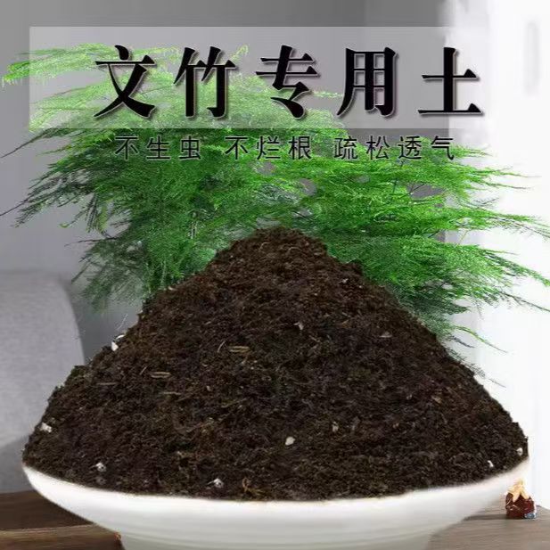 文竹专用营养土通用型养花土有机肥料室内盆栽种植土