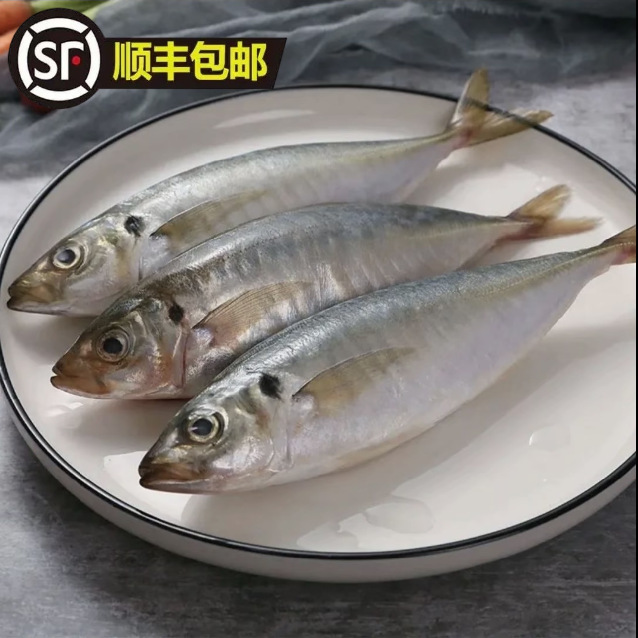 【当天新货】福建巴浪鱼优质新鲜冷冻棍子海捕水产海鱼美味巴浪鱼