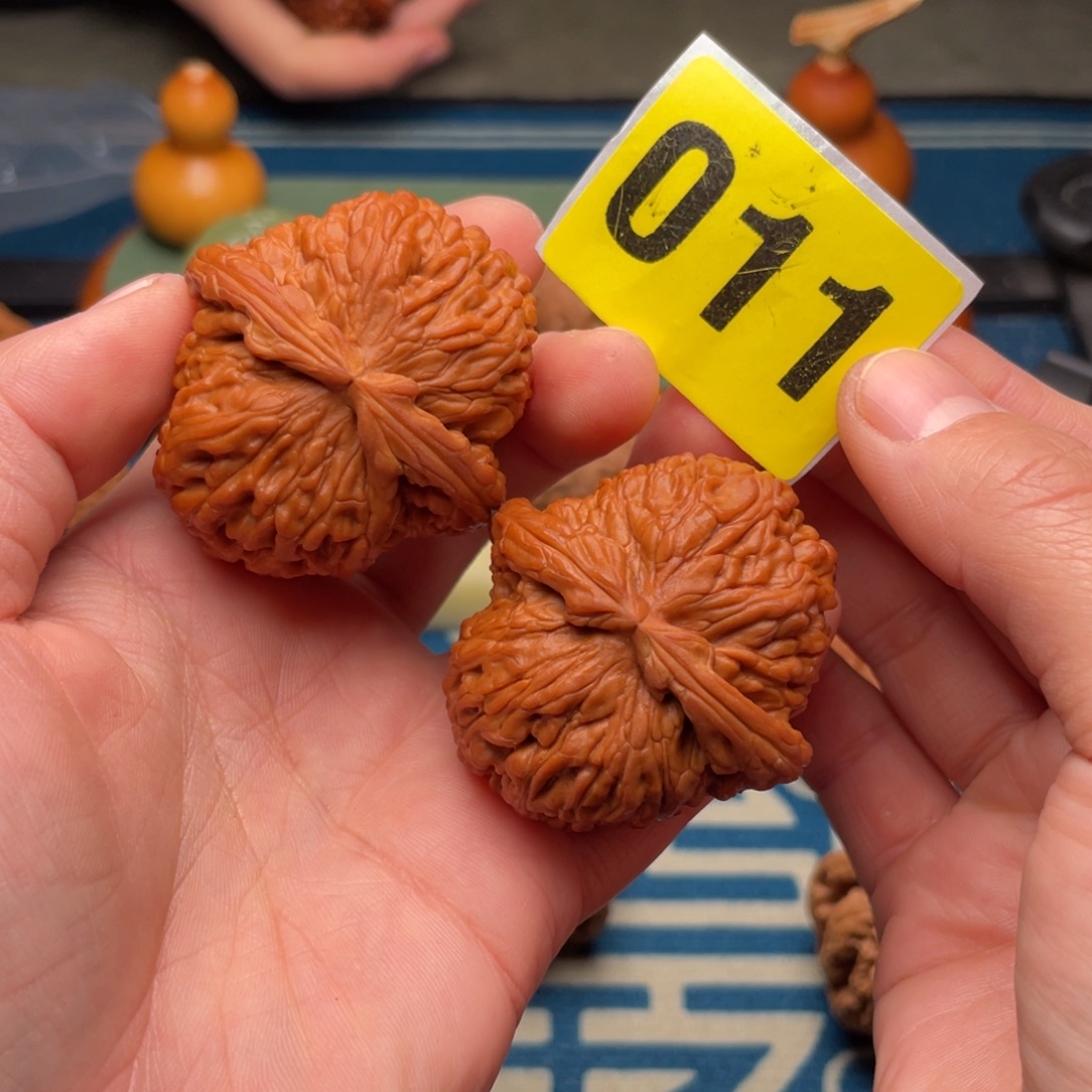 地***仙文玩核桃把件44白狮子（精品）011号