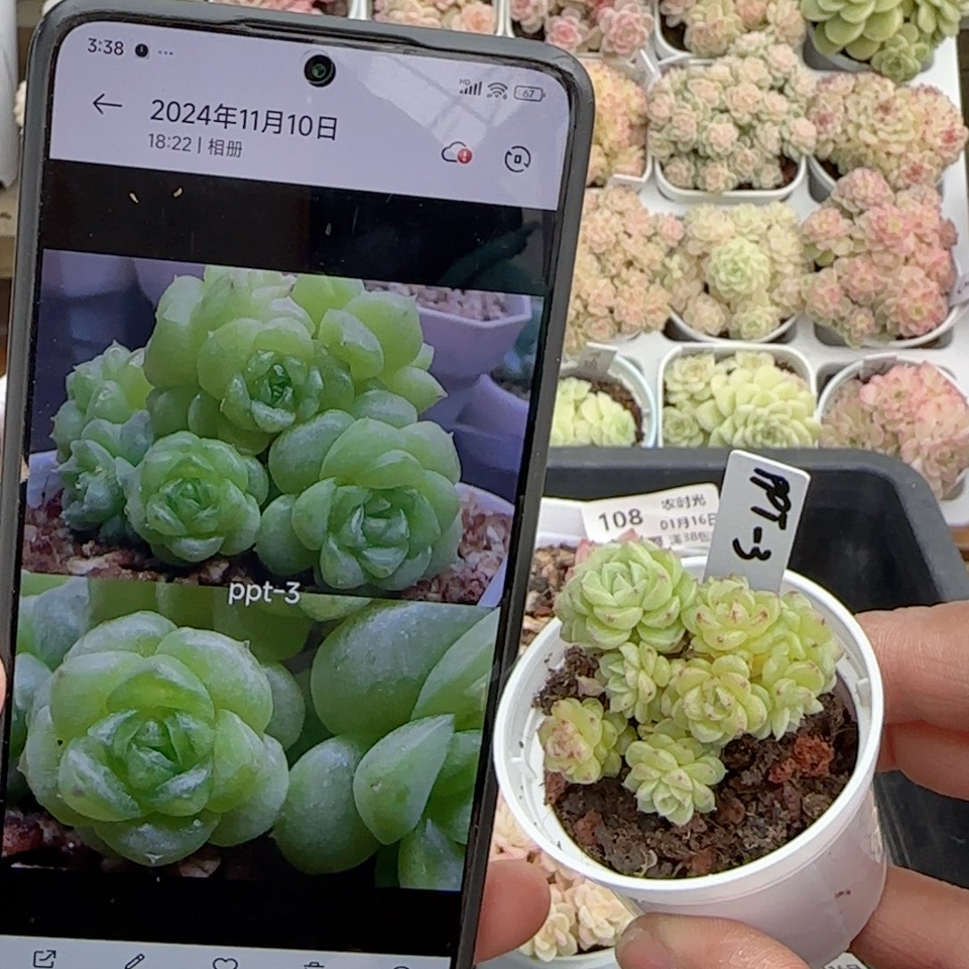 【闪购商品】0116-117（ppt-3）