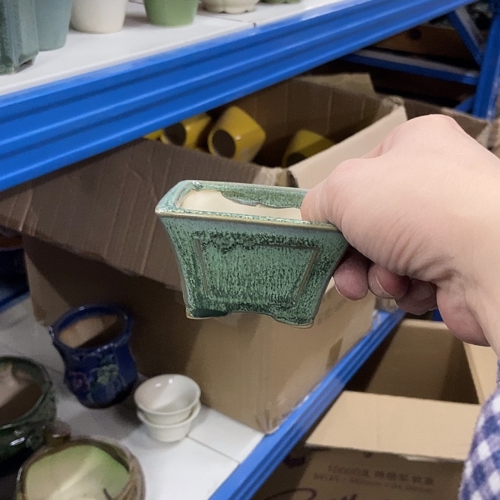 花盆单场满9.9发货8×5