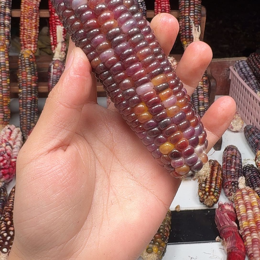 狂***牛吊坠柏香籽/百香籽