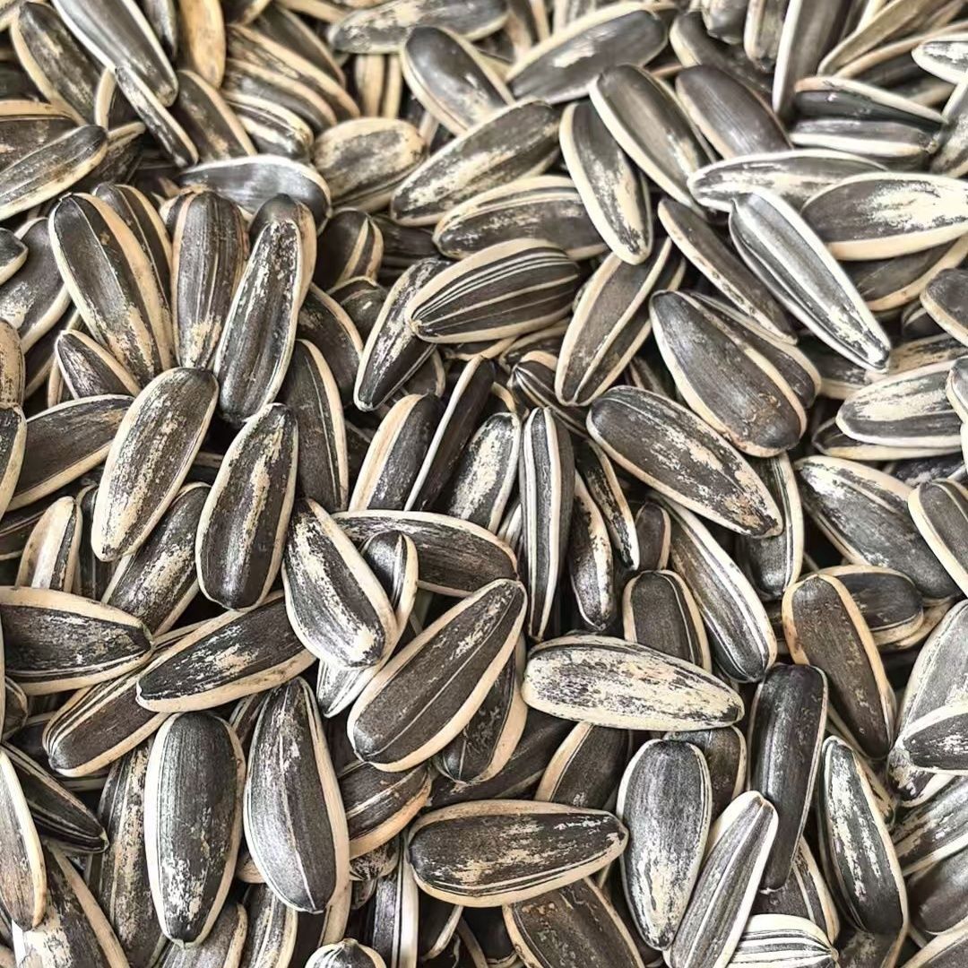 B 原味炒熟葵花子颗粒饱满适合追剧的瓜子零食