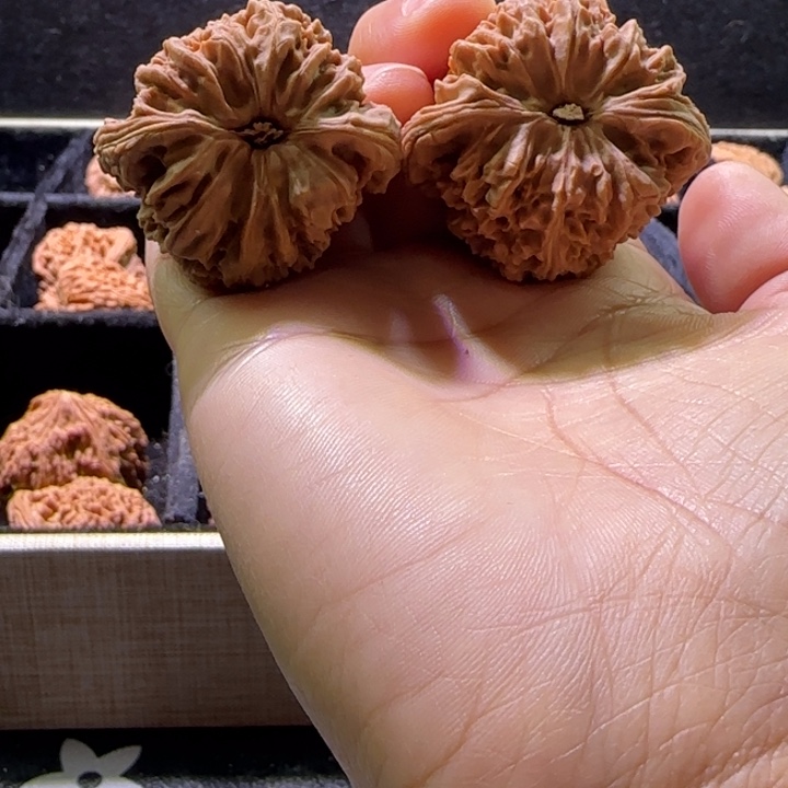飞***斯吊坠桃核核桃核桃