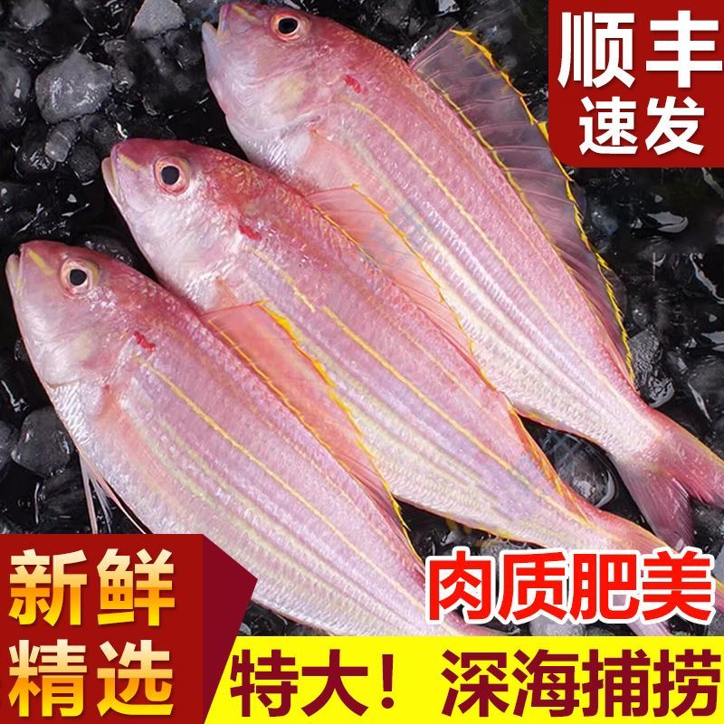 北部湾本港野生红杉鱼