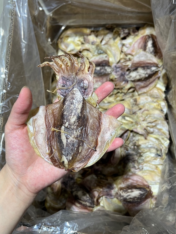 墨鱼干新鲜淡晒正宗北海墨鱼干滋补煲汤目鱼干