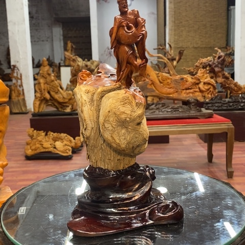 柏木（崖柏）今*在太行崖柏