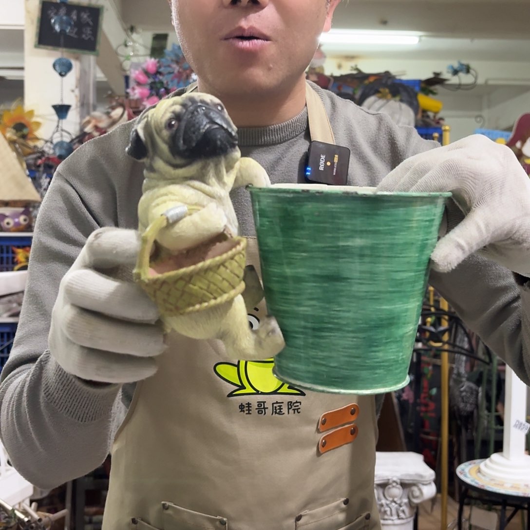 核桃木/黑胡桃（胡桃木）