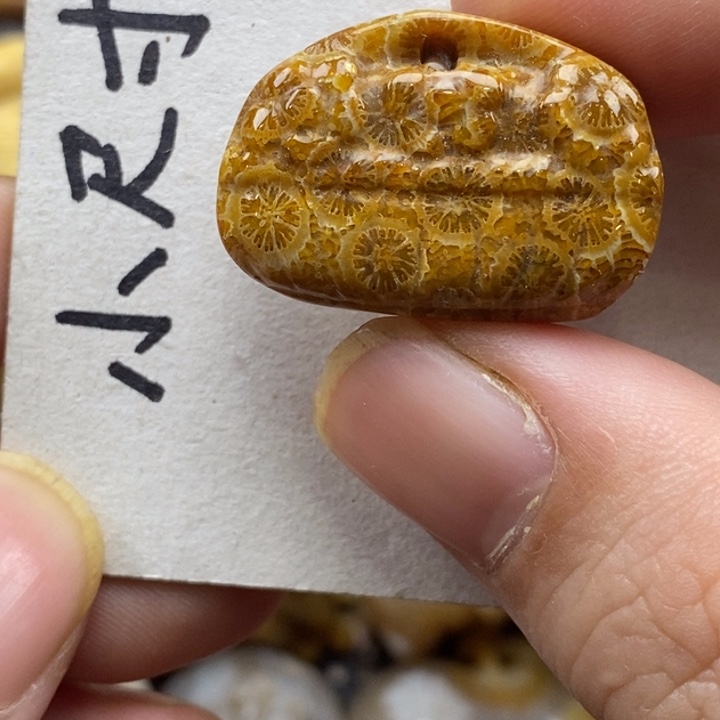 硅化珊瑚（珊瑚玉）未镶嵌颈饰
