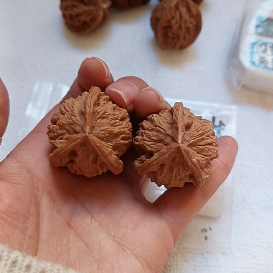 赵***忠盘山文玩核桃三棱子全品肉文