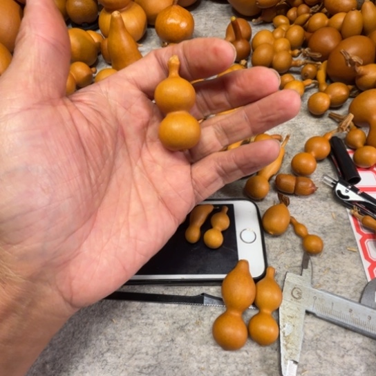 ****姐小姐姐的一把八宝一把八宝葫芦