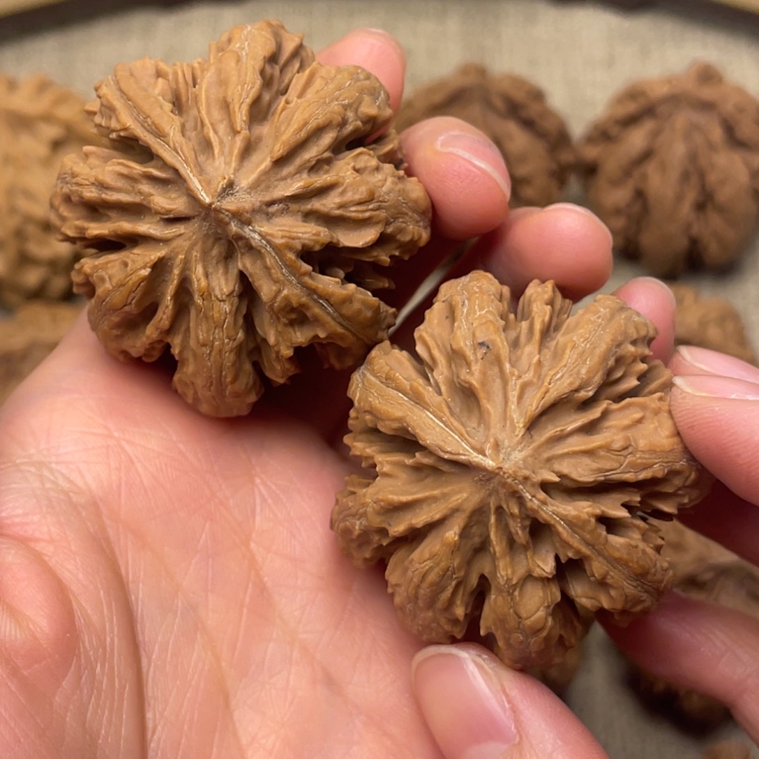 听***月文玩核桃把件秦岭核桃11号