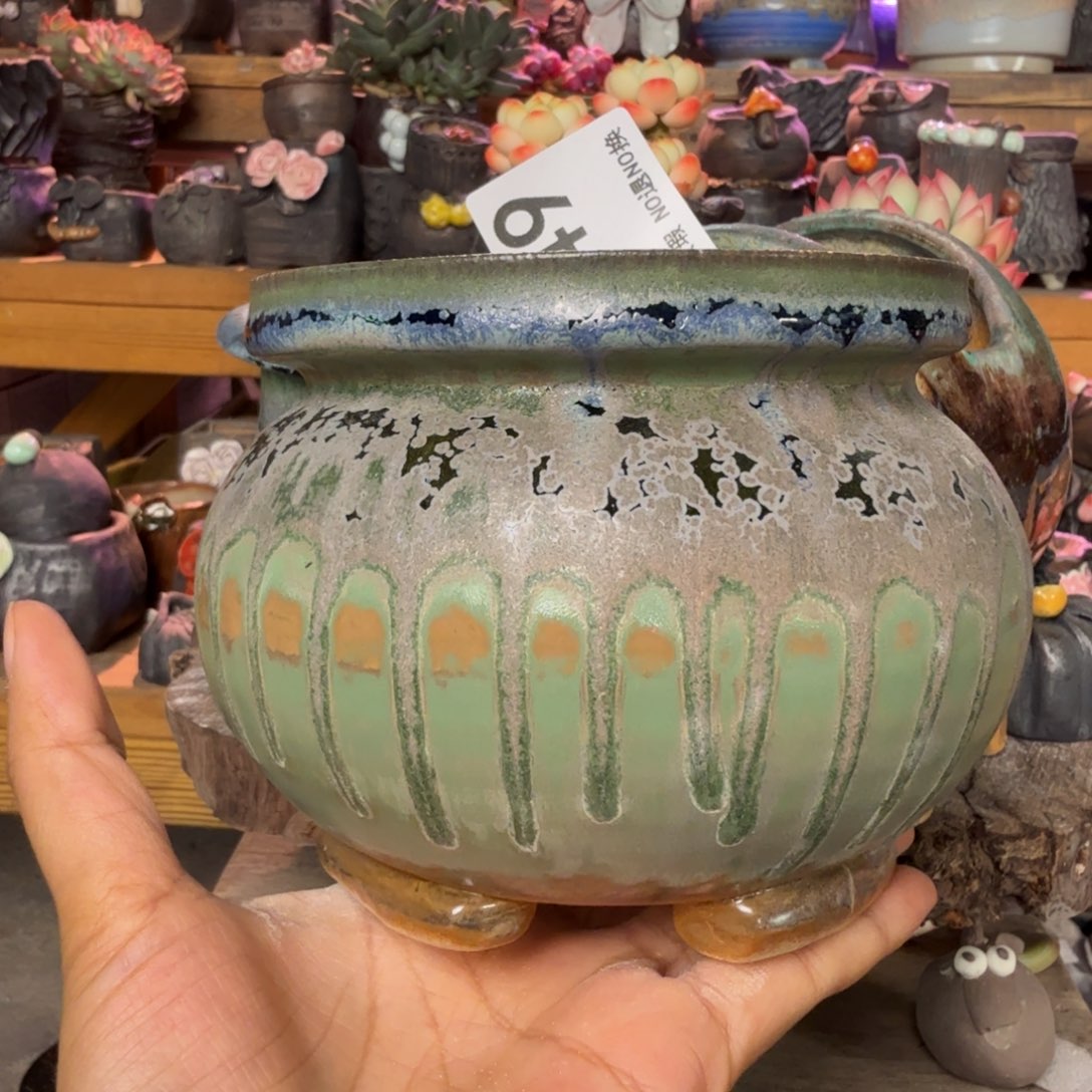 重庆小燕子欢迎大家549