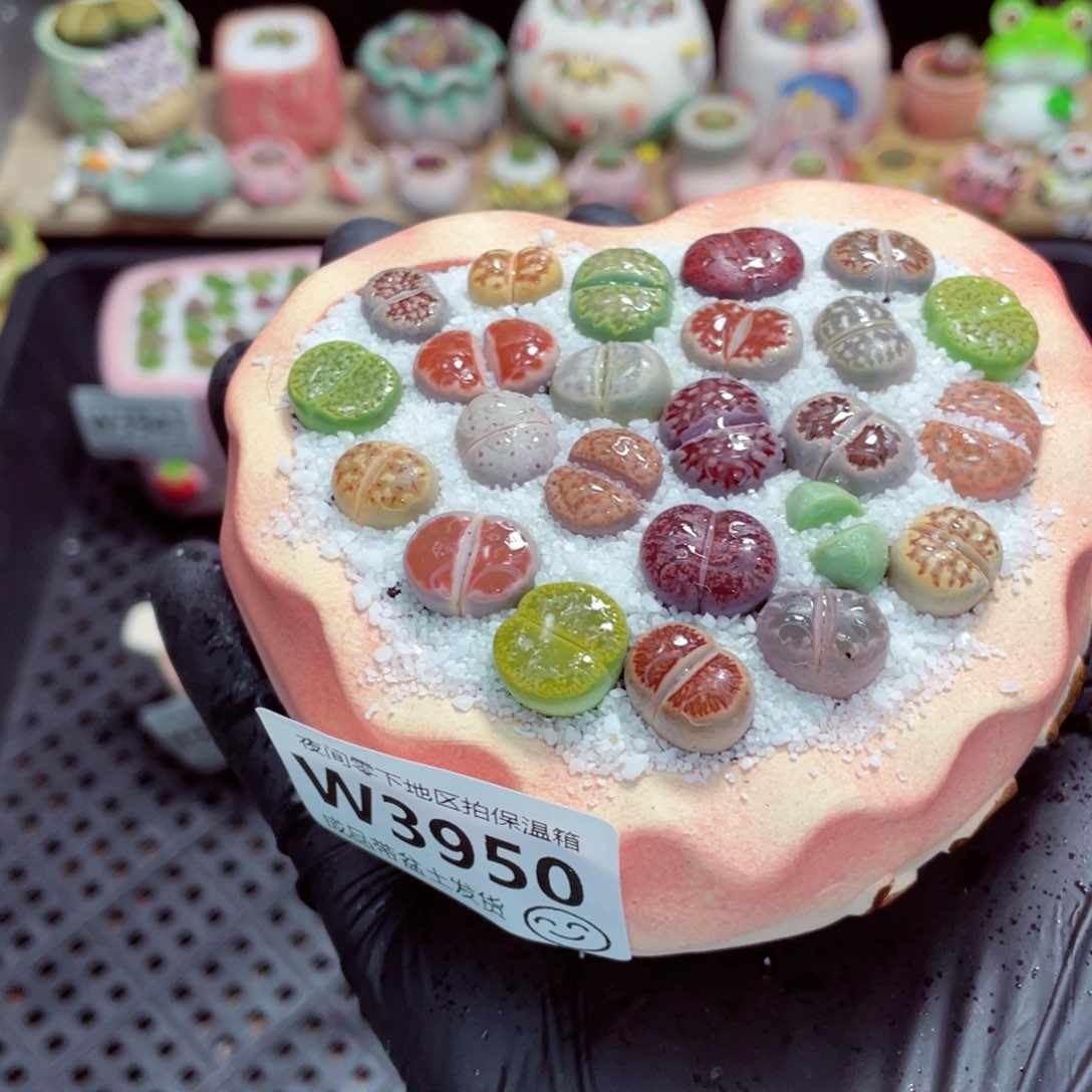 夜间零下地区拍保温箱w3950