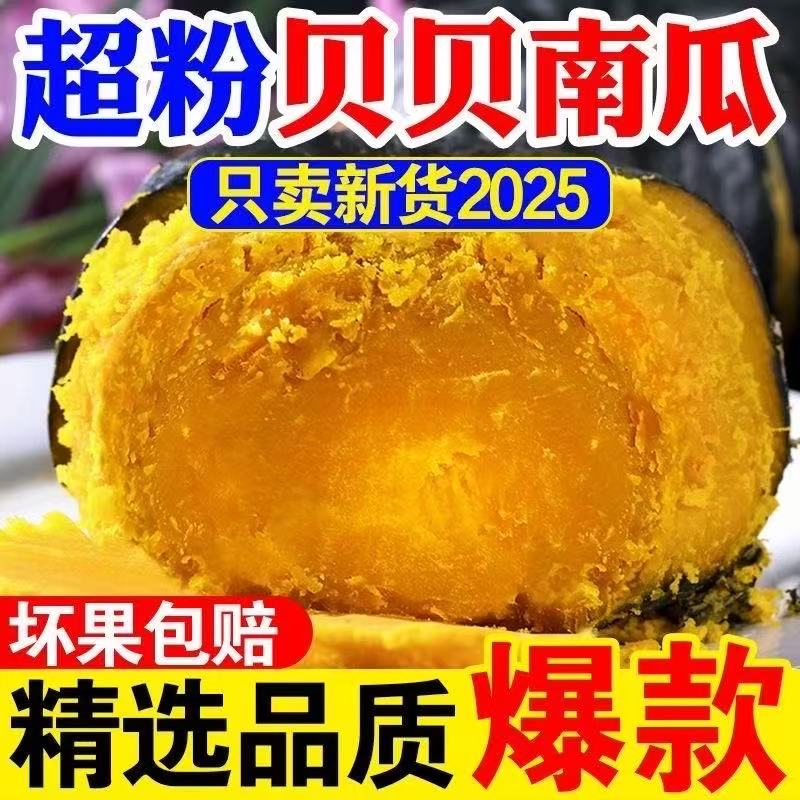 【贝贝南瓜】板栗味小南瓜粉糯宝宝辅食整箱正宗新鲜整箱2斤6个左右