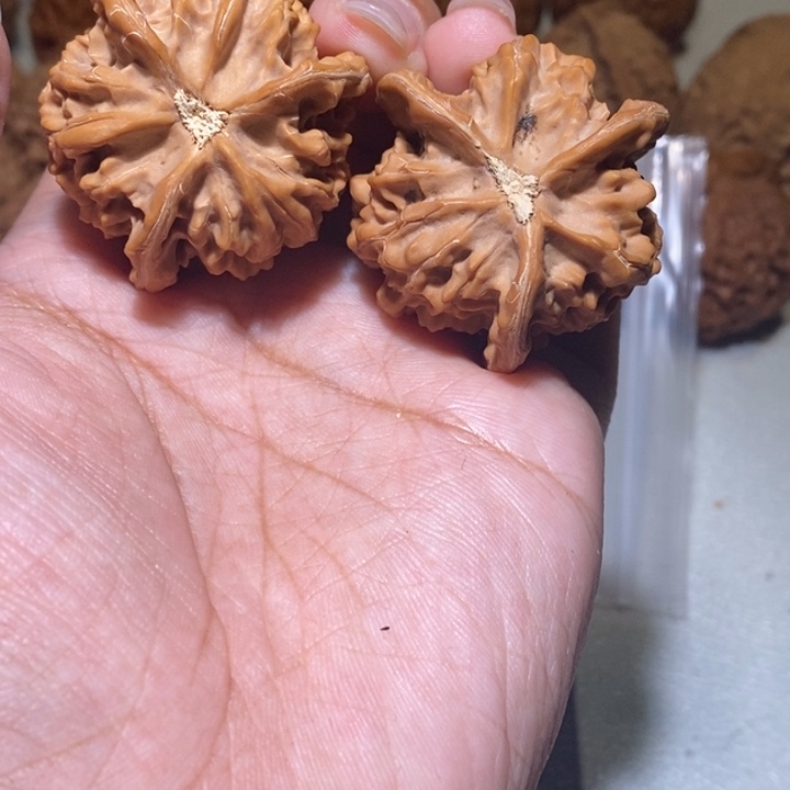 老****核桃手串/手链三棱