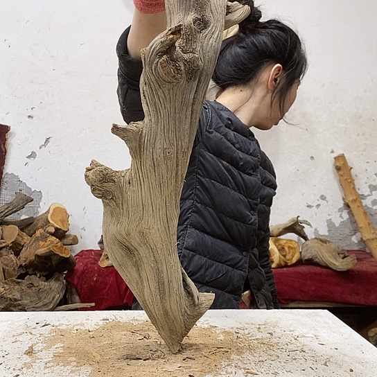 山***工柏木我们都是好孩子