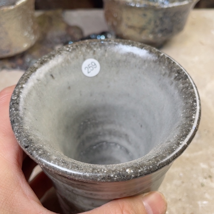 茶宠盏盏灯都是我的