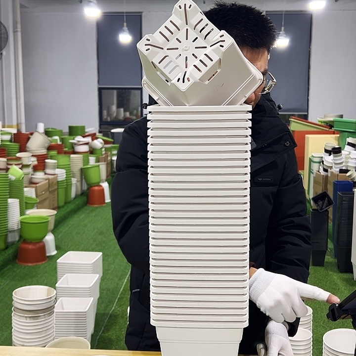 正品方盆口16高18白色5只无托