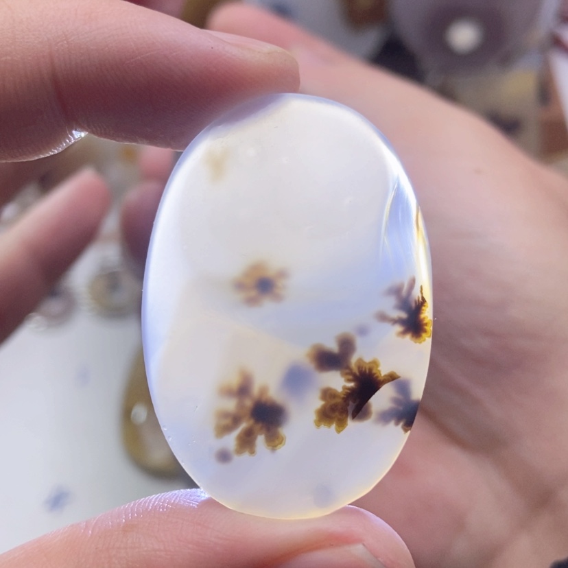 【闪购商品】玛瑙/玉髓颈饰未镶嵌