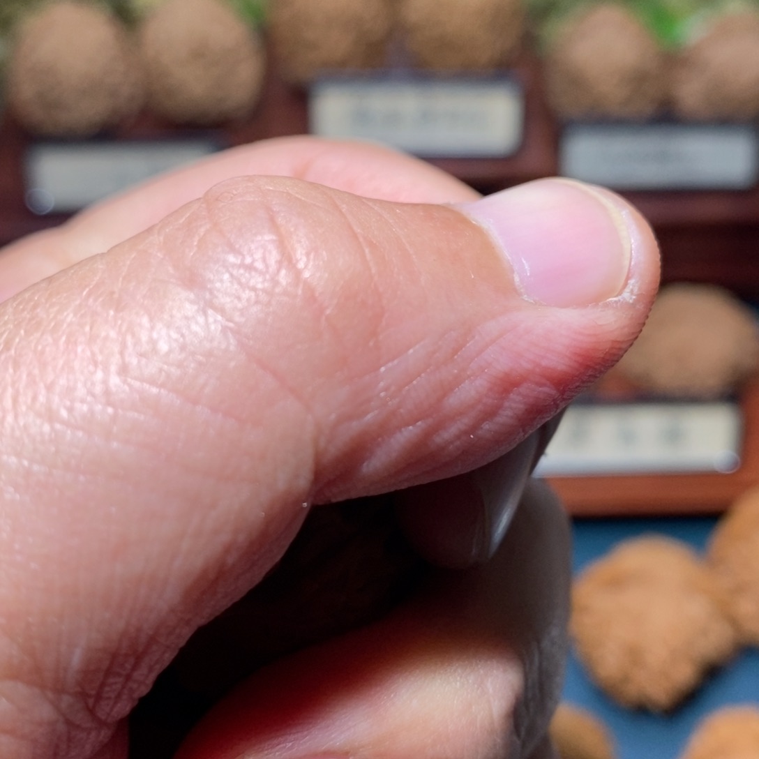 文玩核桃把件支**来核桃