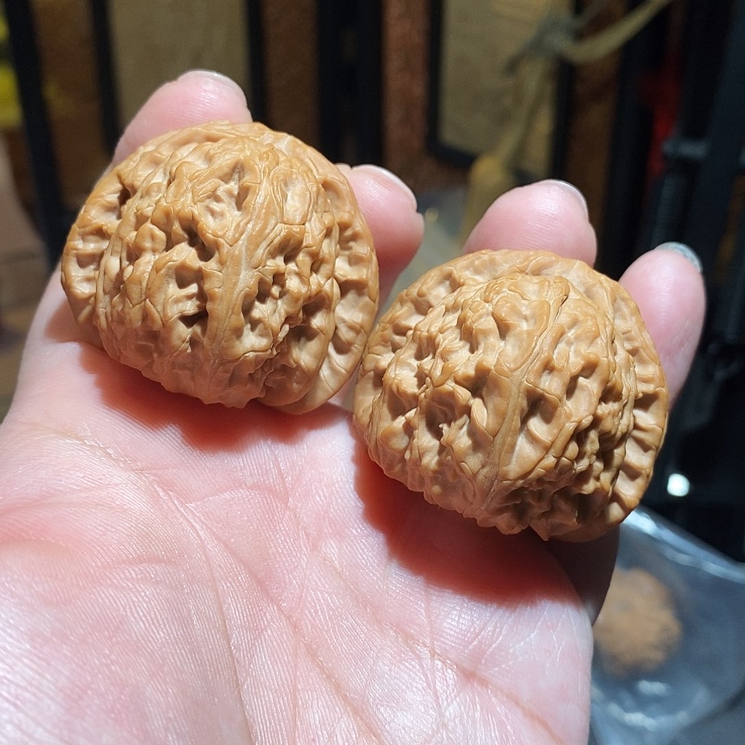 文玩核桃把件42白狮子全品