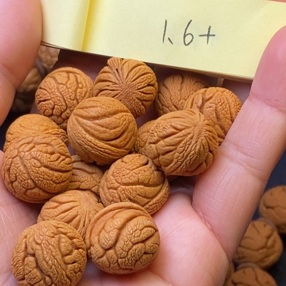 秦岭龙纹桃核15颗