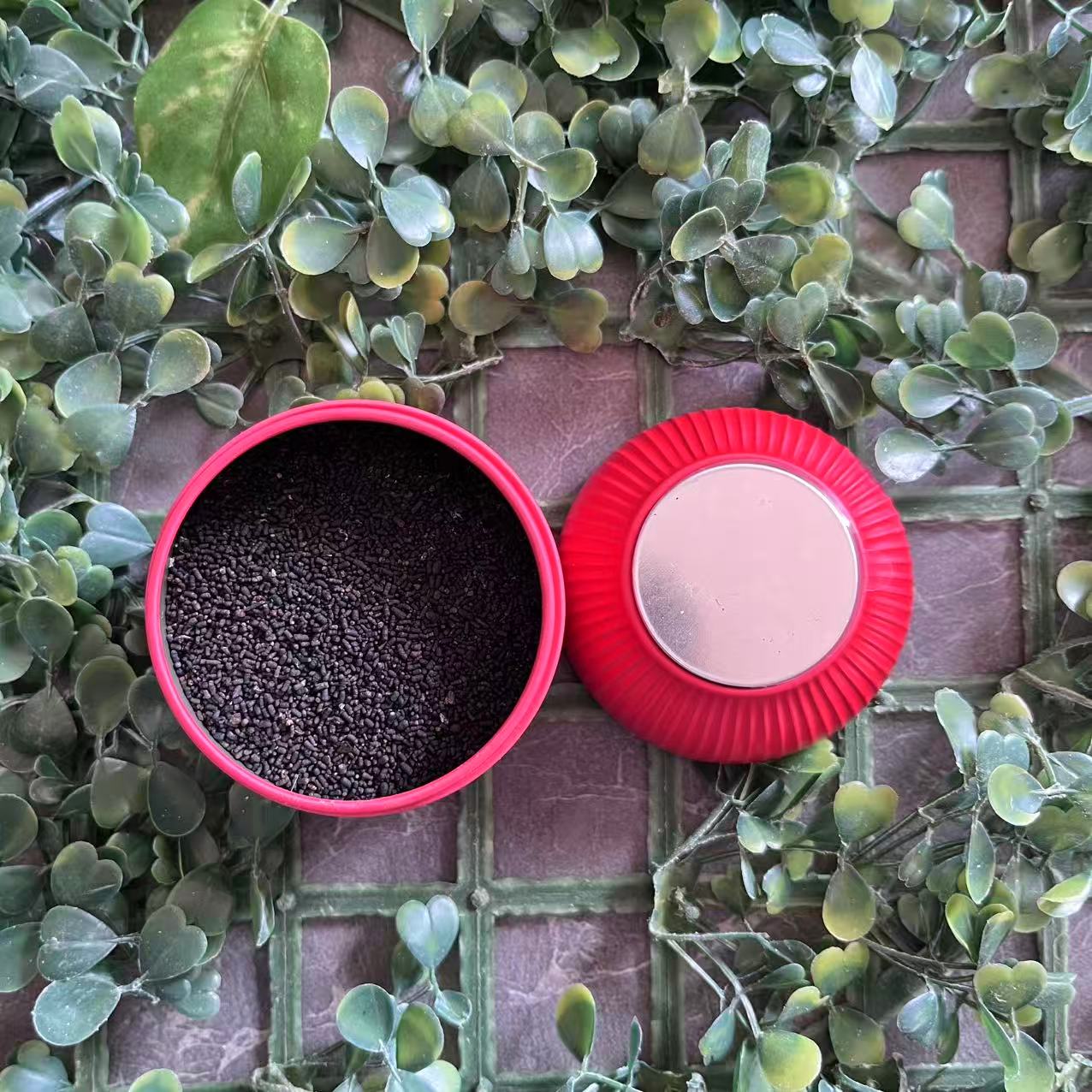 雨腾古茶  1000 X丹"00 1 YI "终J核J能30g/罐（11月25) 