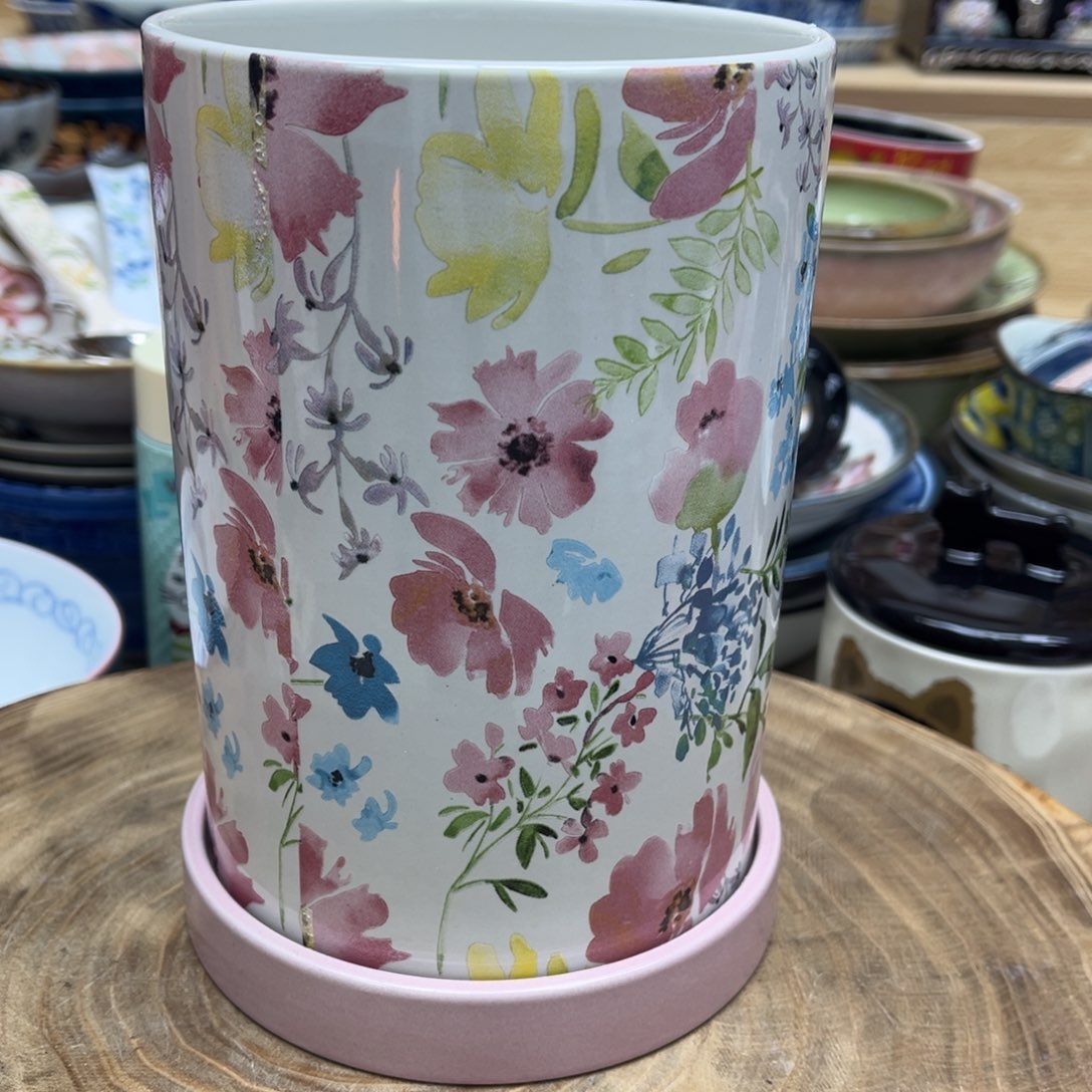 我的姐姐们好可爱竖**琦