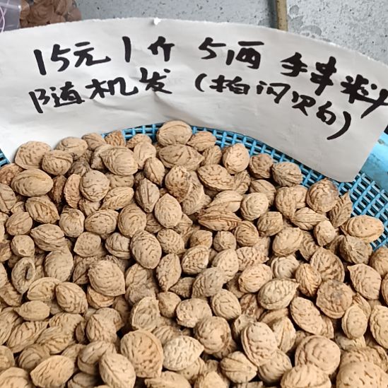 水***金吊坠桃核野生山桃核小核26元3斤