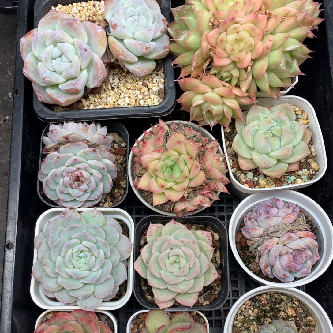 1201-144 套餐一组