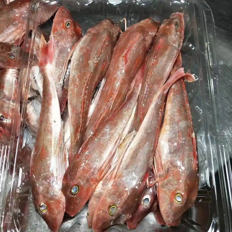 【码头直发】野生海捕红头鱼顺丰冷链发货