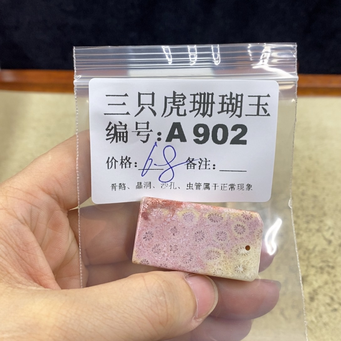硅化珊瑚（珊瑚玉）1未镶嵌E****g