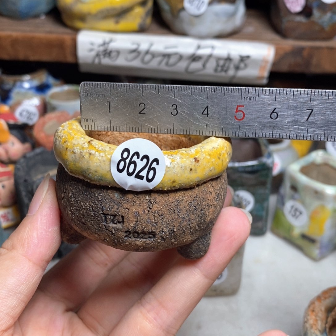 拍3送一个小礼物