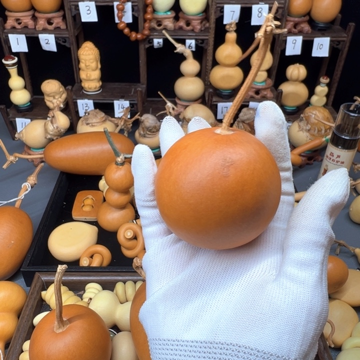 L****葫芦葫芦葫芦葫芦