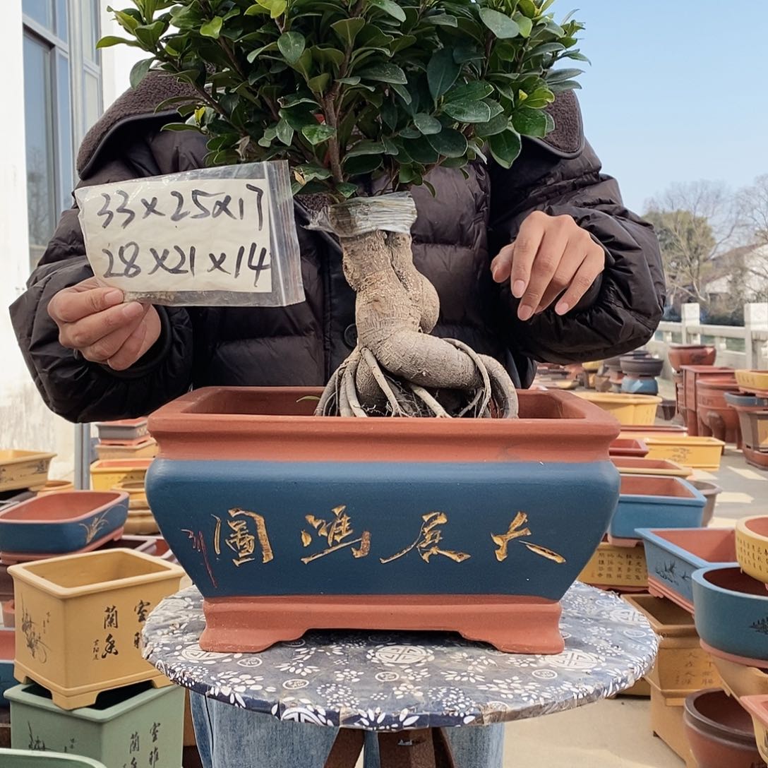 紫砂花盆紫砂花盆