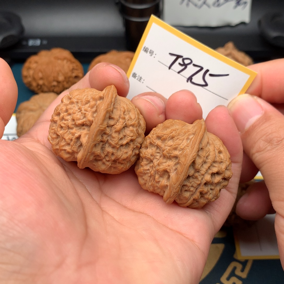 文玩核桃把件暴****户38.5血麒麟975