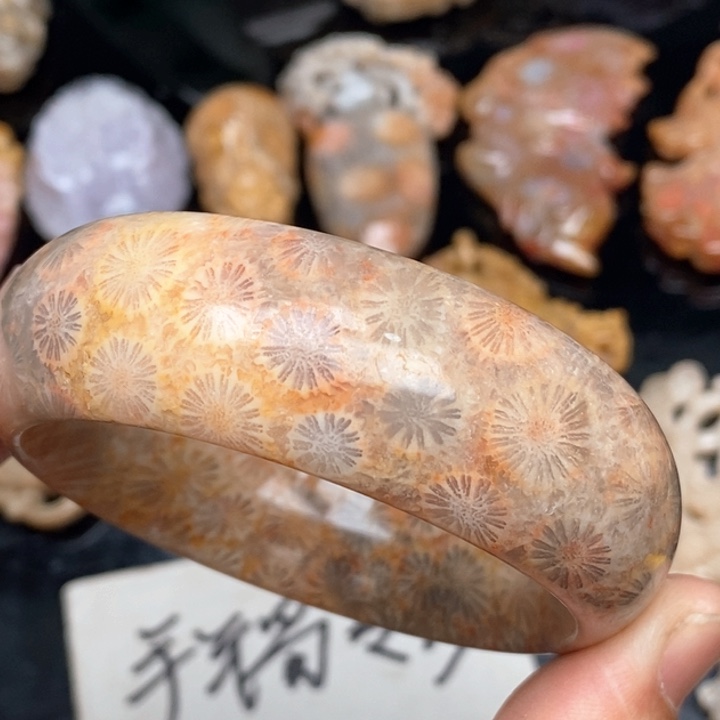 硅化珊瑚（珊瑚玉）手镯未镶嵌54