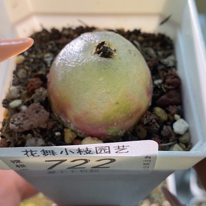 722灯泡111111111111111111