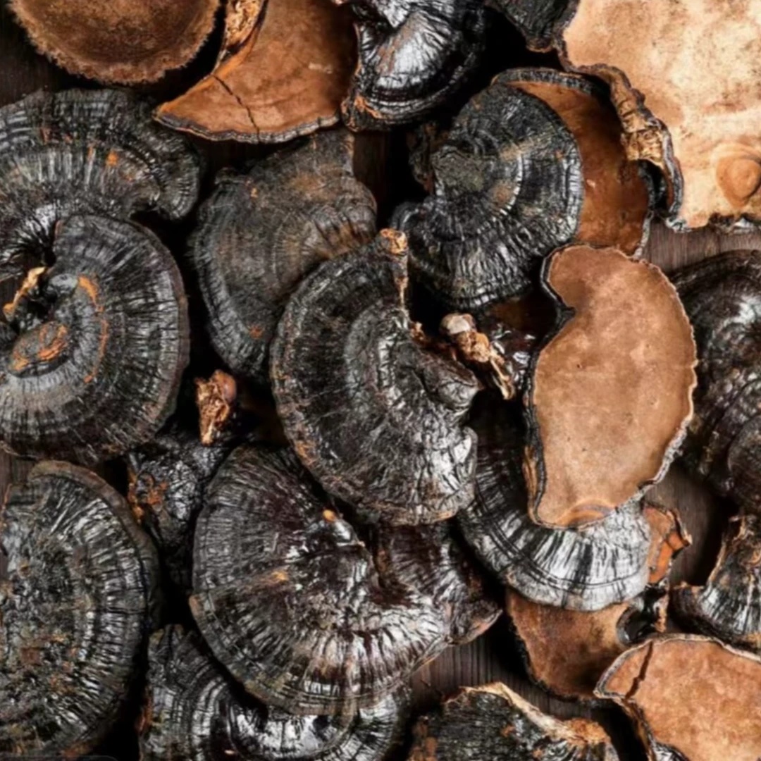 农家山货 灵芝农产品