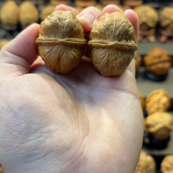 文玩核桃把件聚宝