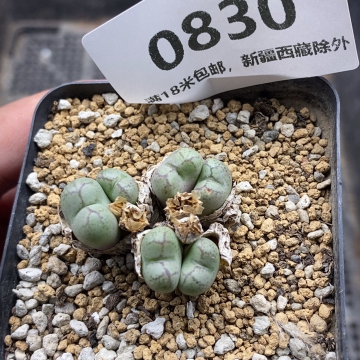 830。               