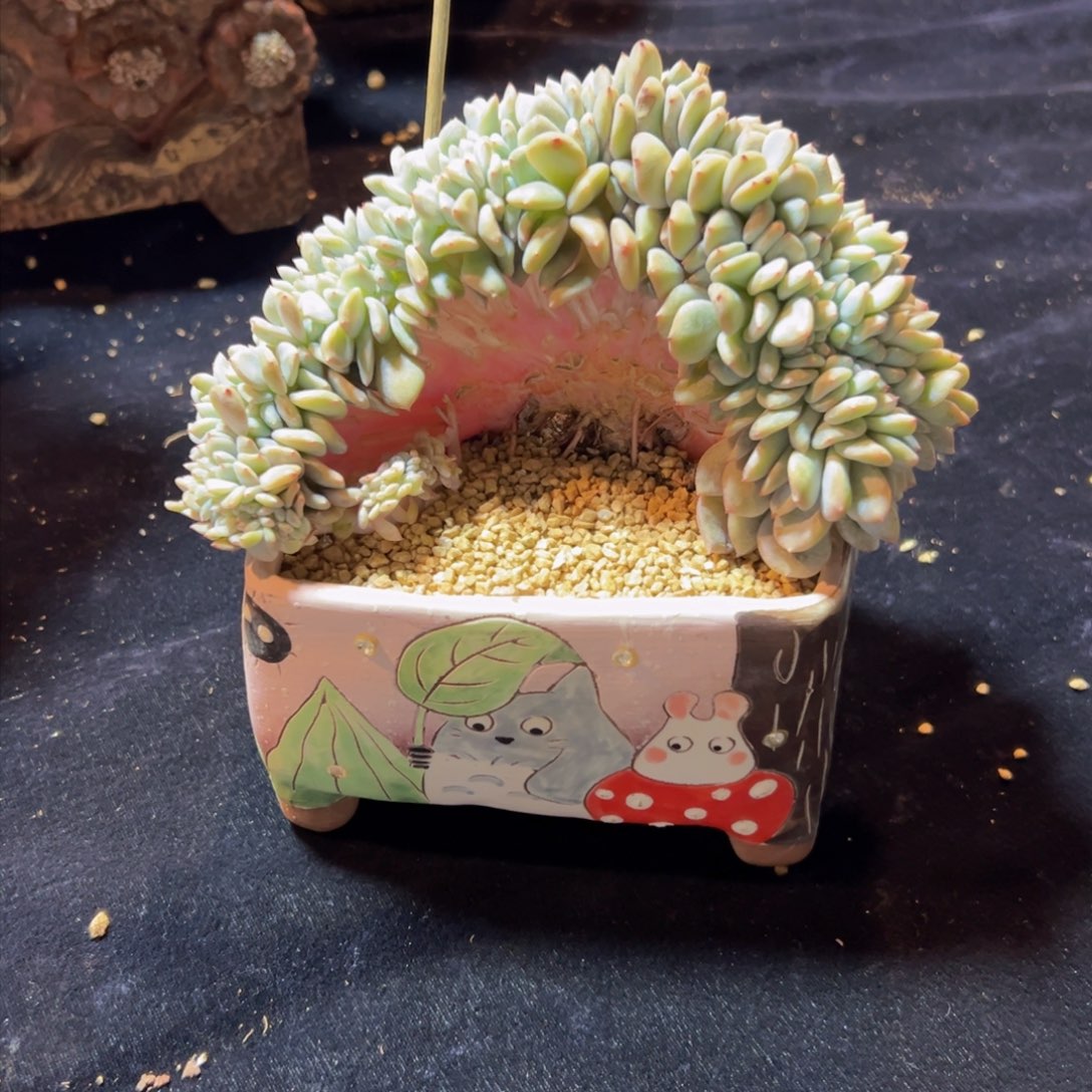 新年快乐 新年快乐